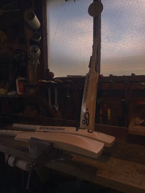 Bats on the workbench in front of the workshop window